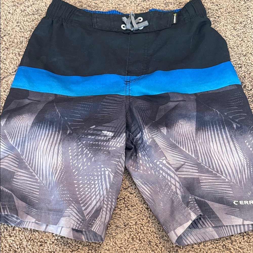 Men's Black and Blue Swim Shorts